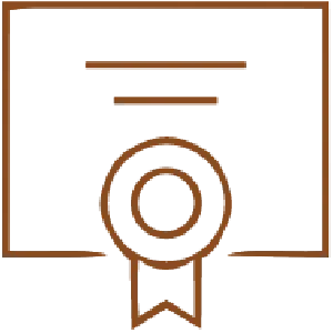 Professional icon
